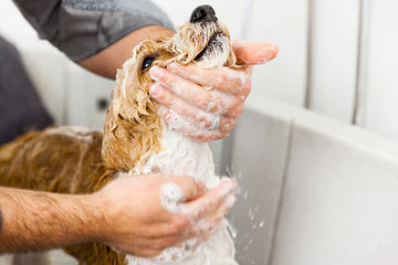 VETRAMIL®-DERMA-SHAMPOO